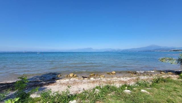 20250919_123719.jpg