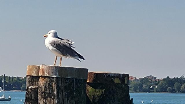 20250919_124245.jpg