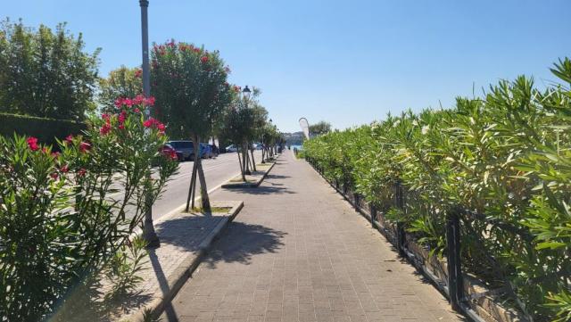 20250919_133001.jpg
