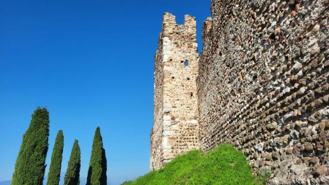 20250919_155638.jpg
