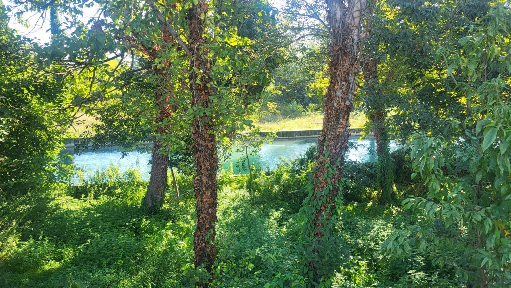 20250920_093959.jpg