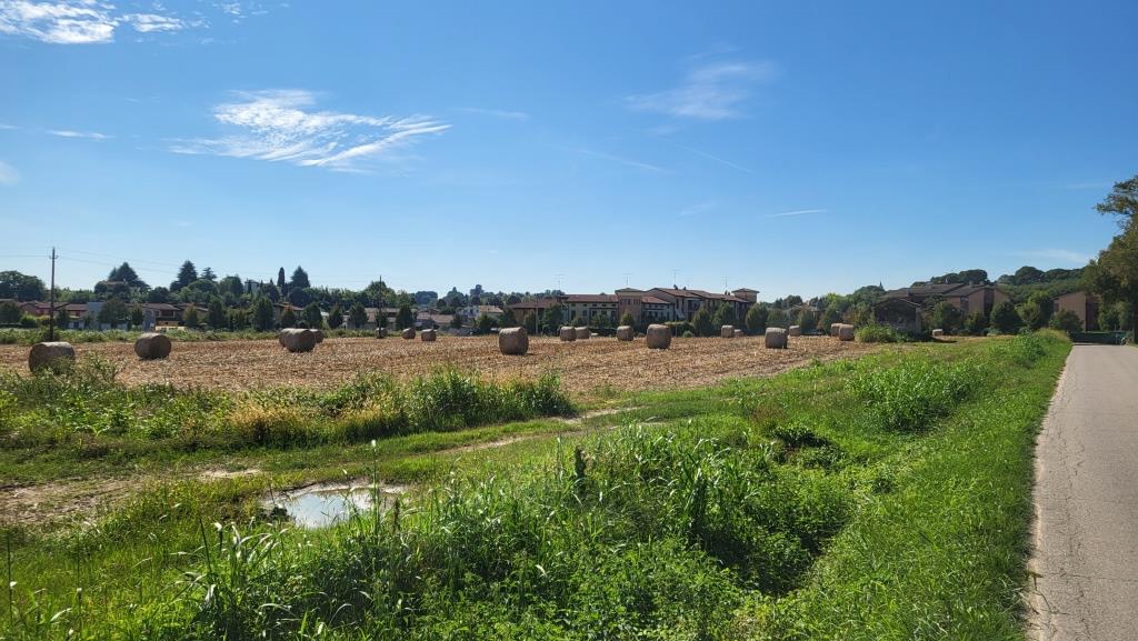 20250920_114520.jpg