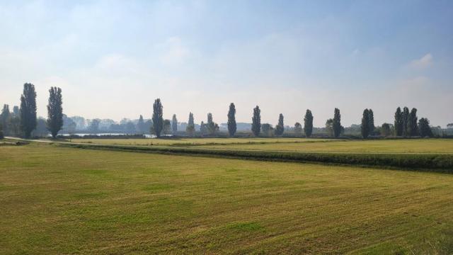 20250921_095708.jpg