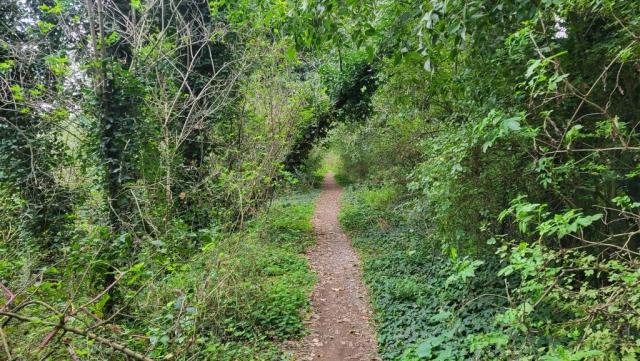 20250922_080623.jpg