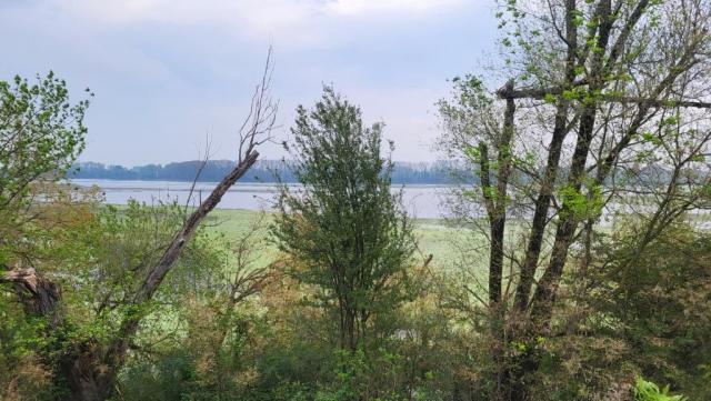 20250922_082152.jpg