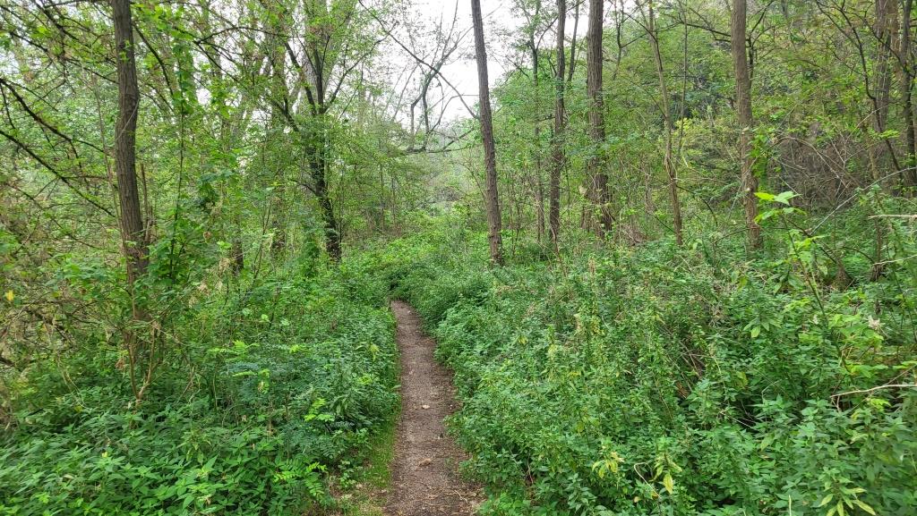 20250922_082637.jpg