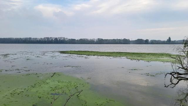 20250922_083137.jpg