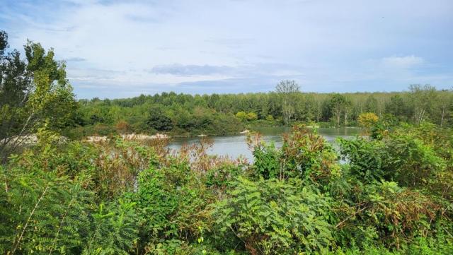 20250922_153209.jpg