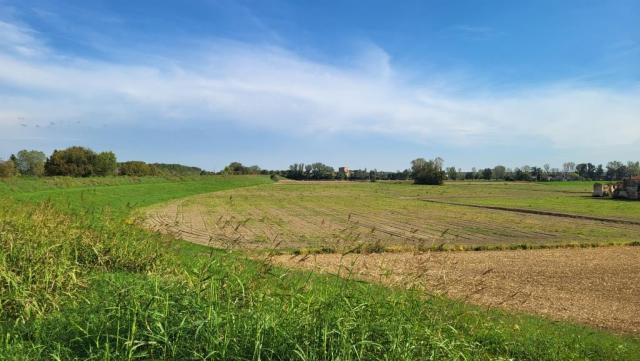 20250922_161836.jpg