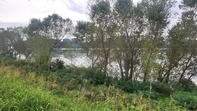 20250923_090835.jpg