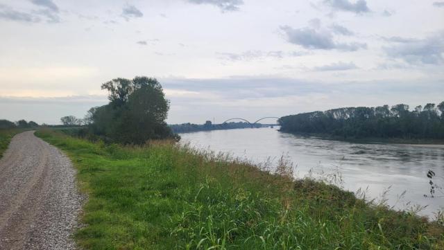 20250923_091300.jpg
