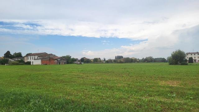 20250923_115439.jpg