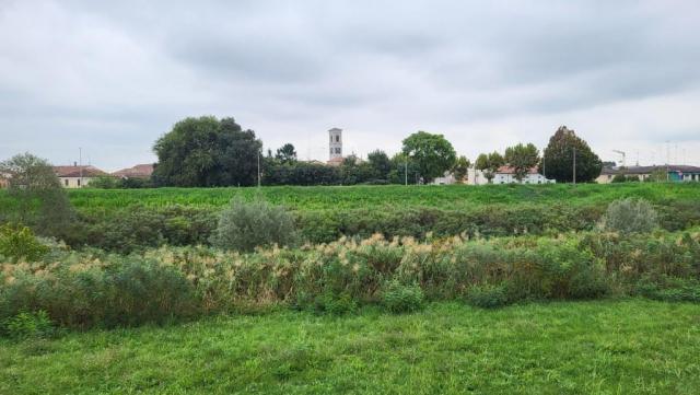 20250923_125710.jpg