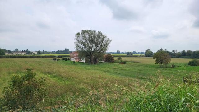 20250923_132047.jpg