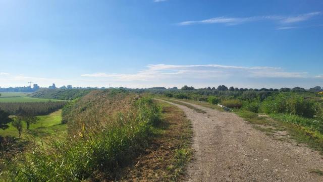 20250925_094502.jpg