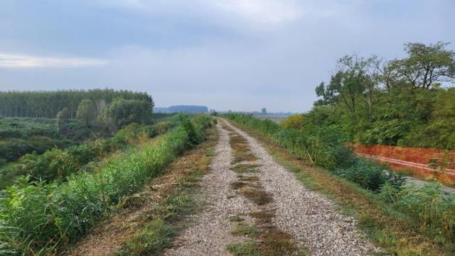 20250926_085219.jpg