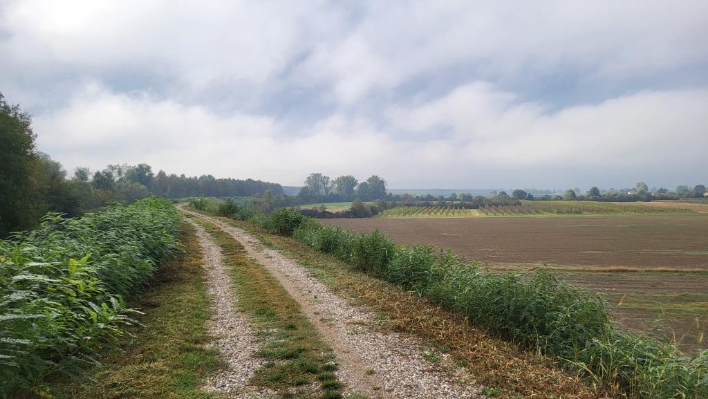 20250926_092738.jpg