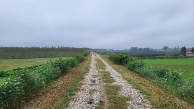 20250926_093924.jpg