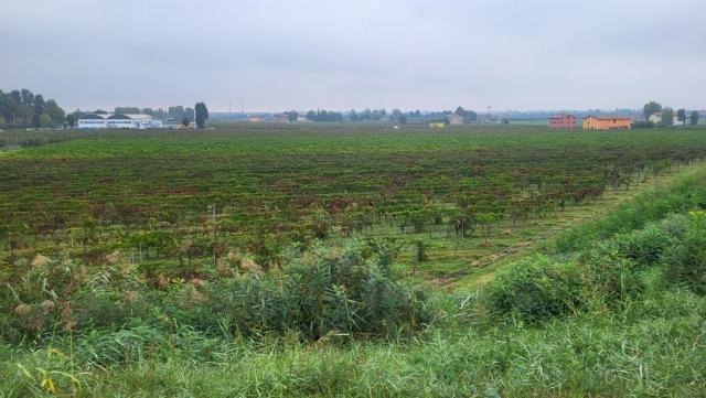 20250926_104046.jpg