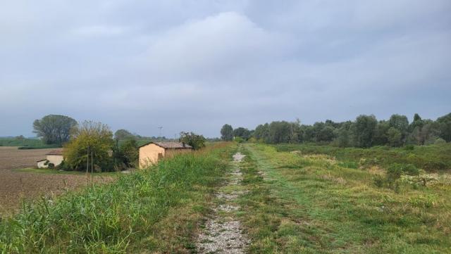 20250926_105407.jpg
