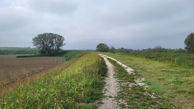 20250926_105612.jpg