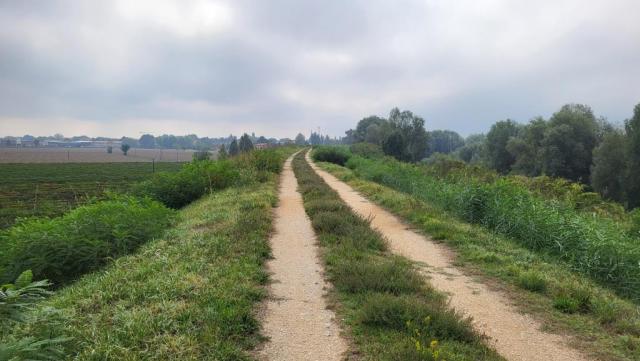 20250926_110131.jpg