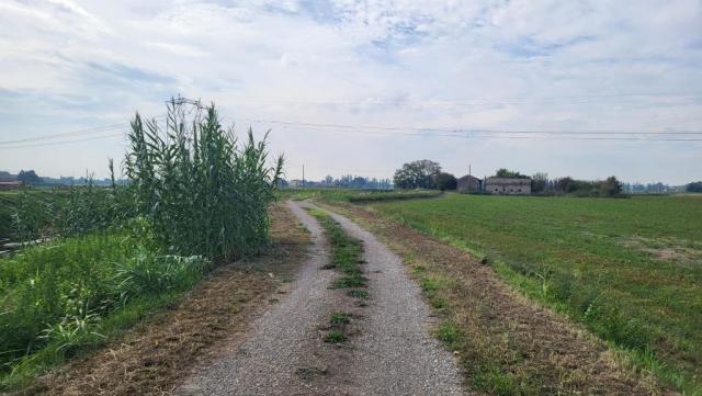 20250926_125717.jpg