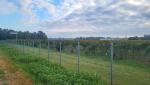 20250928_084459.jpg