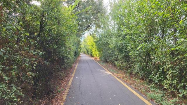 20250928_091001.jpg