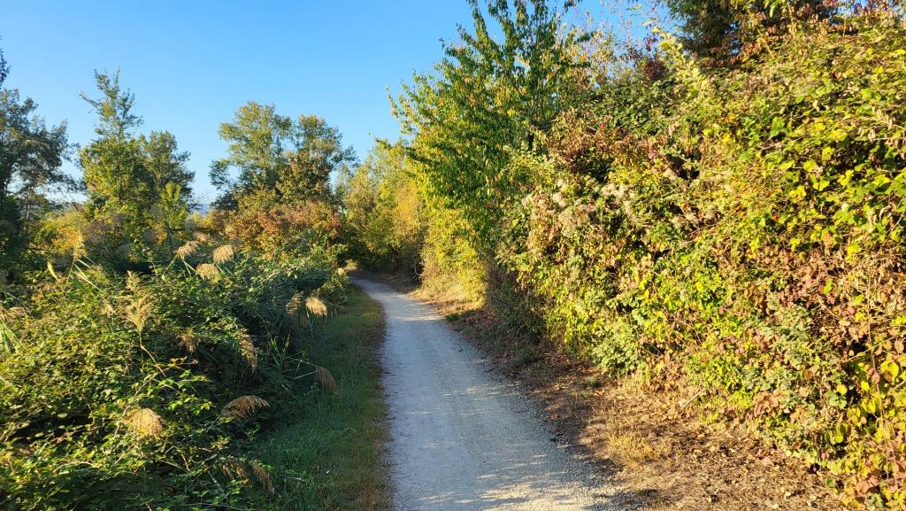 20250929_082943.jpg