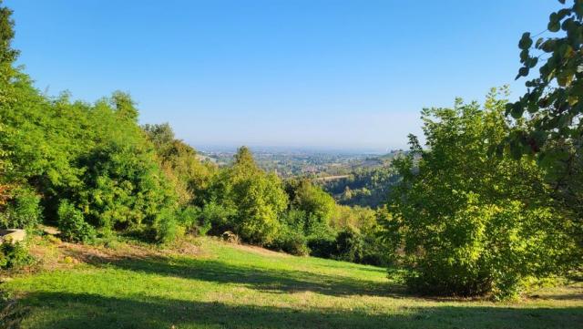20250929_092454.jpg