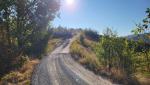20250929_092859.jpg