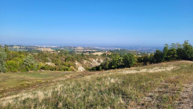 20250929_100124.jpg