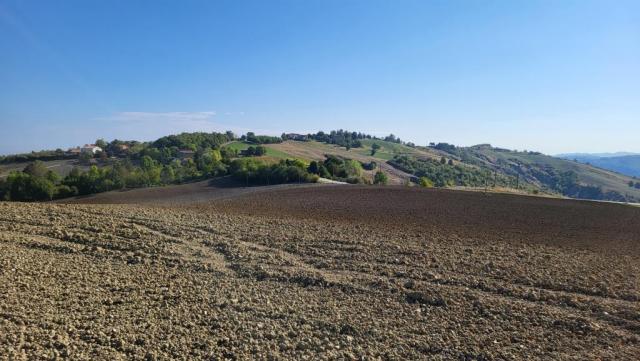 20250929_103620.jpg