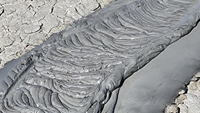 20250929_105428.jpg