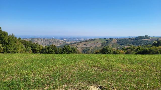 20250929_120340.jpg