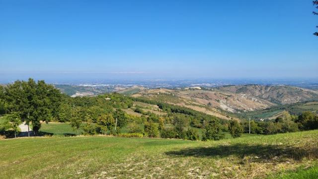 20250929_120805.jpg