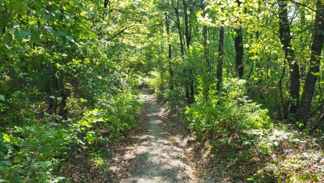 20250929_121622.jpg