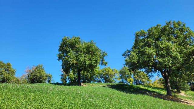 20250929_124807.jpg