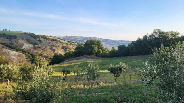 20250930_084639.jpg