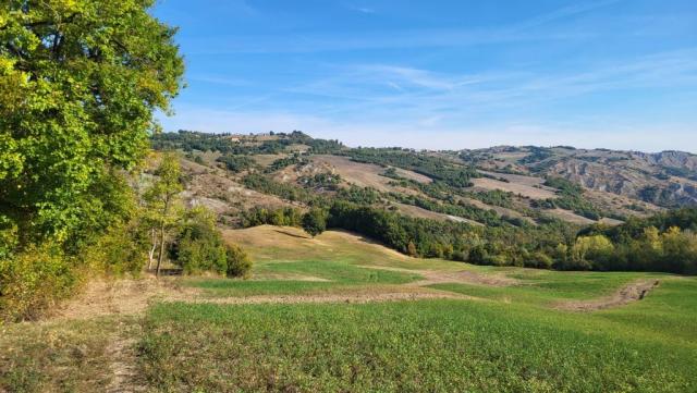 20250930_095110.jpg