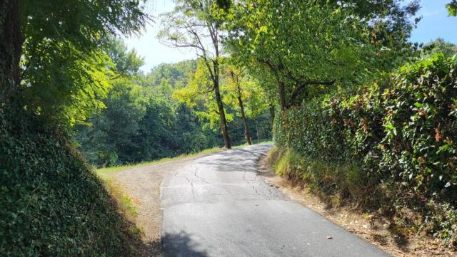 20250930_115303.jpg