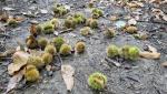 20250930_120946.jpg