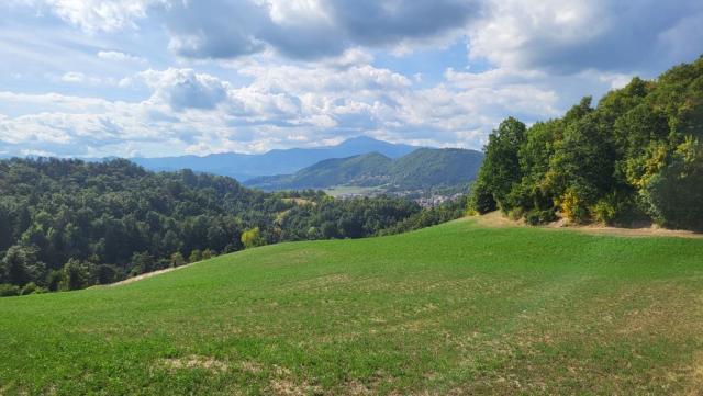 20250930_121926.jpg