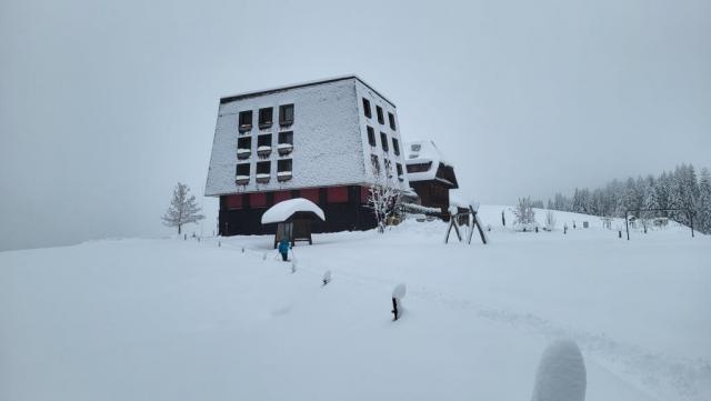 20251126_124203.jpg