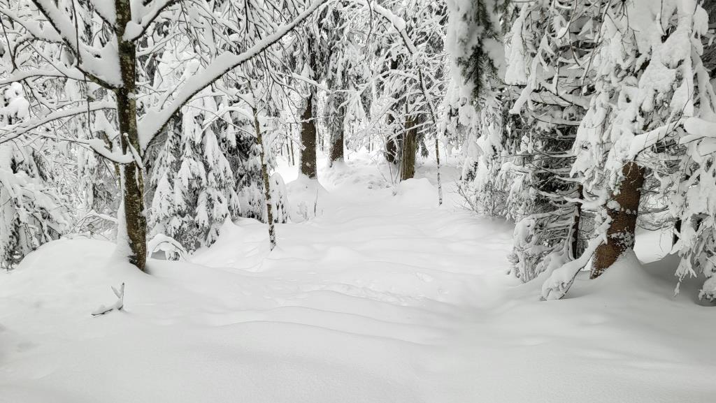 20251126_124333.jpg