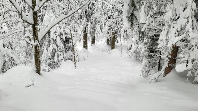 20251126_124333.jpg