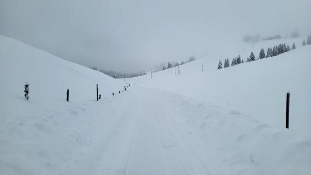 20251126_130356.jpg