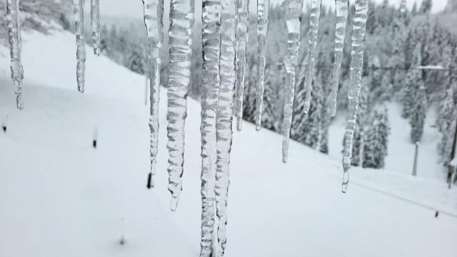 20251126_133725.jpg