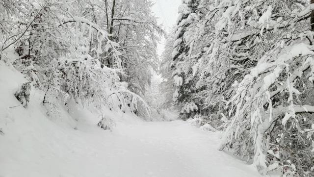 20251126_141948.jpg